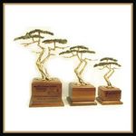 Walnut Base Cypress Tree Award