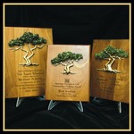Plaques