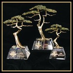 Crystal Cypress Tree Award