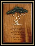 Solid Walnut Cypress Tree Award