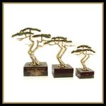 Square Black Marble Base Cypress Tree Award