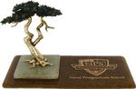 5-1/2" Cypress Tree on 5"x10" Base